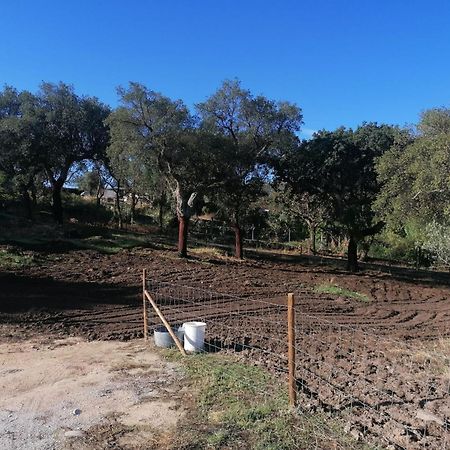 فيلا Casas De Marvao - Quinta Da Bela Vista المظهر الخارجي الصورة