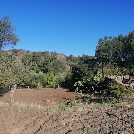 فيلا Casas De Marvao - Quinta Da Bela Vista المظهر الخارجي الصورة