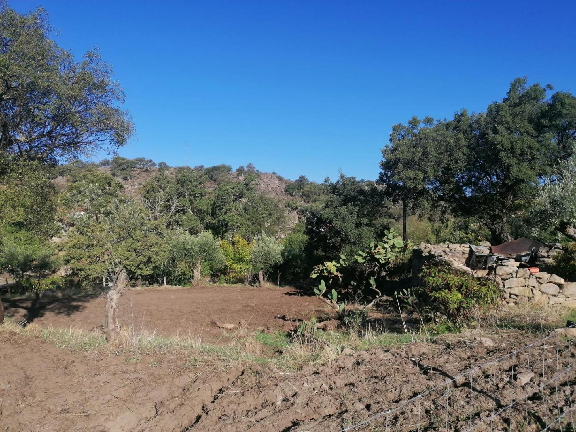 فيلا Casas De Marvao - Quinta Da Bela Vista المظهر الخارجي الصورة